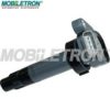 DAIHA 1907097207 Ignition Coil